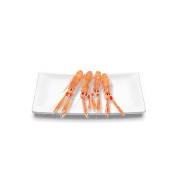 Langoustines