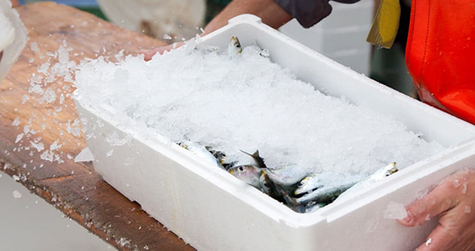 Conditions de livraison de poisson frais sur Paris et sa région